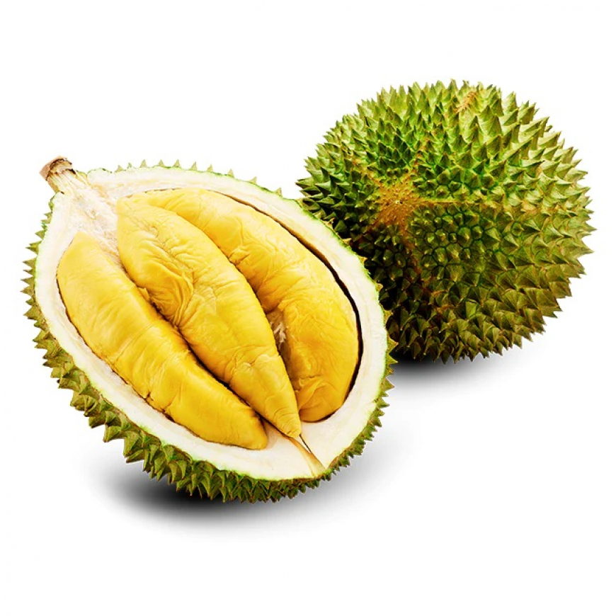 Musang King - Hương Vị Đặc Biệt từ Cây Sầu Riêng Nổi Tiếng