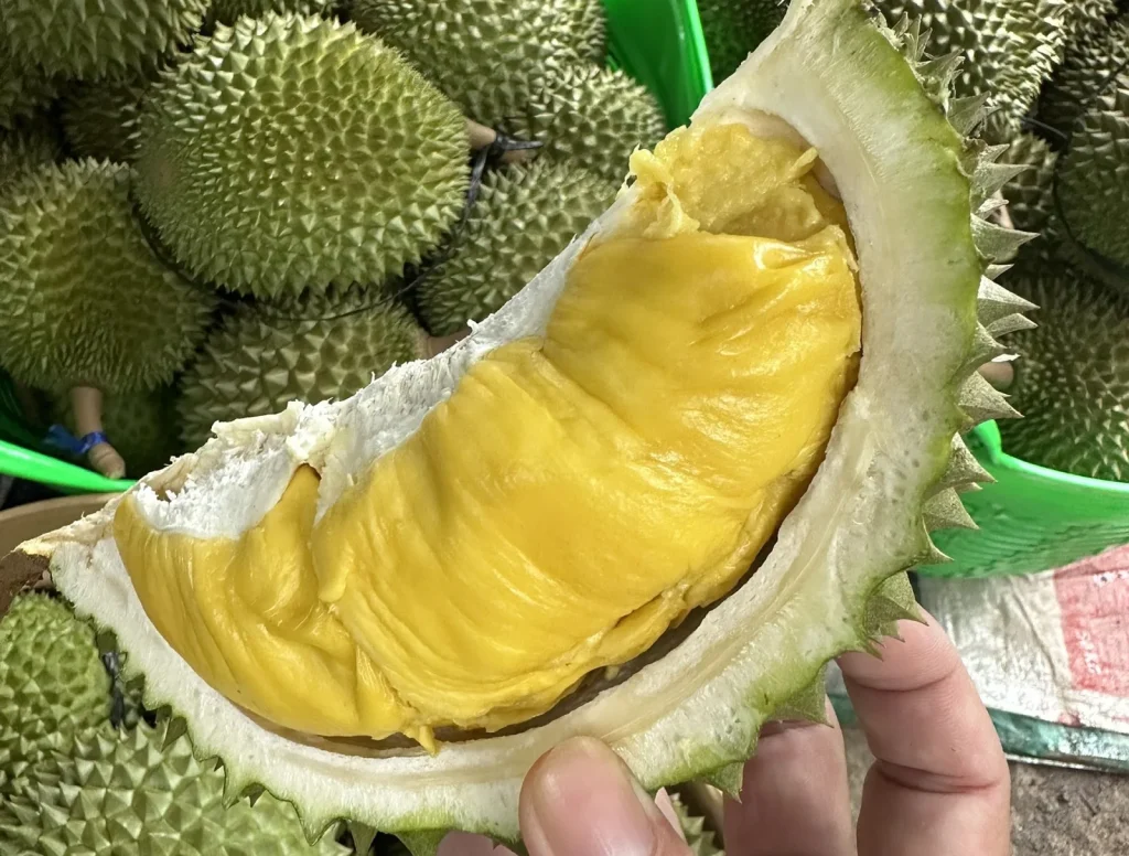 Múi sầu riêng Thái vừa tách