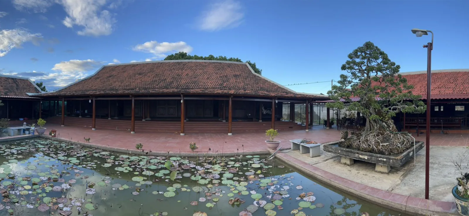 Nhà gỗ mái ngói, sân gạch và hồ sen